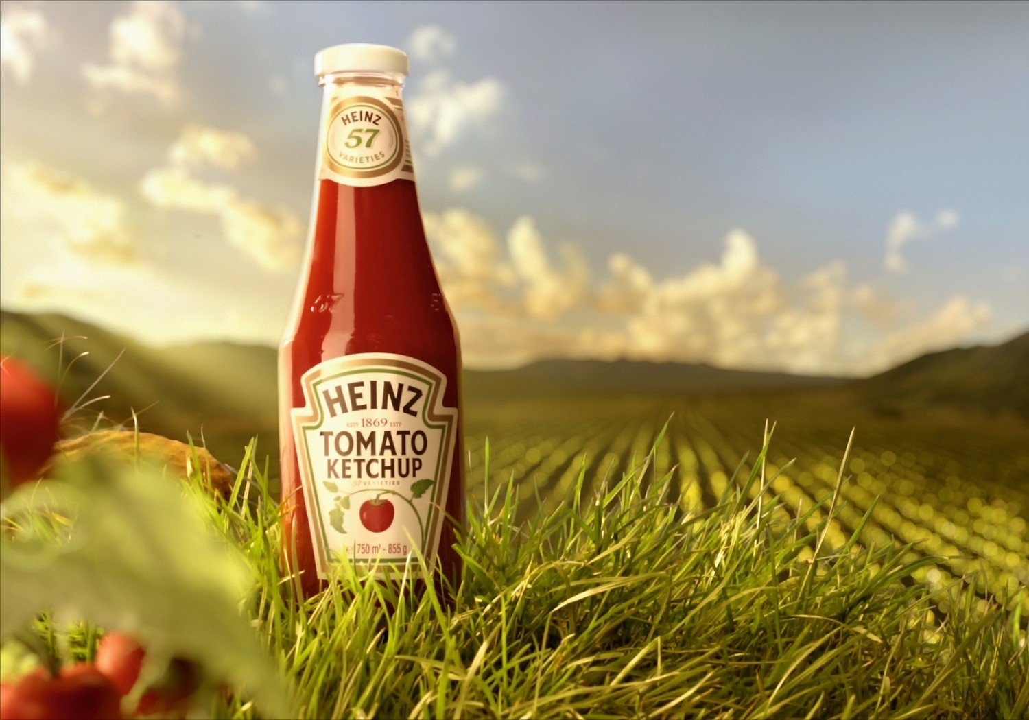Heinz consumer collaboration