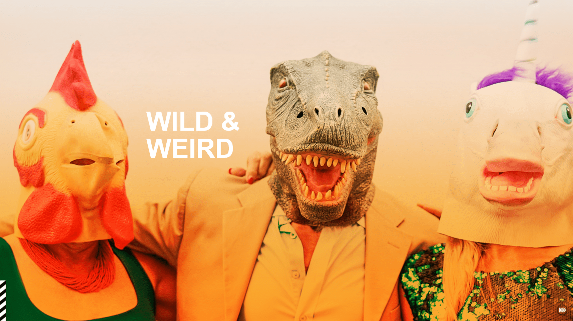 Wild & Weird - 2021 Culture + Trends report by InSites Consulting